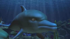 海豚：一个梦想家的故事