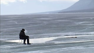 贝尔在荒野住着突然有了两只狗狗    终于不再是自己一个人了