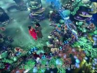 追魚傳奇TV版-09預告