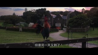 寧靜的莊園 這只公雞竟然會說話