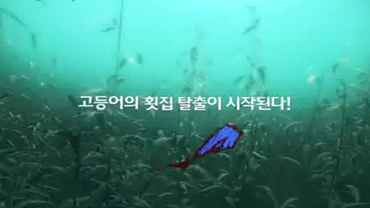 啪嗒啪嗒 韩国预告片
