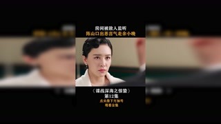 #谍战深海之惊蛰  第十二集，房间被敌人监听，陈山口出恶言气走余小晚！