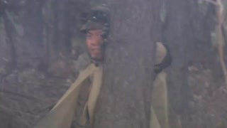 碧血丹心亂世真英雄