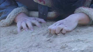龙牙抗日纵队的故事