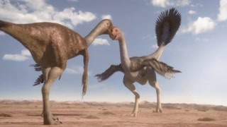 长有羽毛的最大恐龙是它？ 不能飞也不能取暖竟用来搞对象