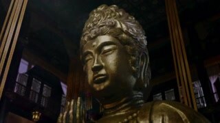 新蕭十一郎：打破五毛特效魔咒