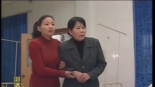 开辟电视系列剧新风格