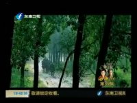 西施秘史第39集抢先看01