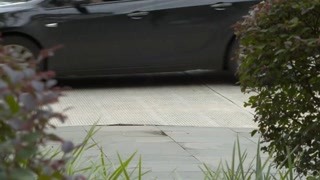 灰姑娘愛情事業雙豐收