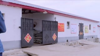 生命的真諦在于信任