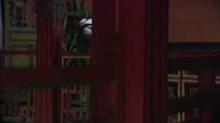 四個西藏家庭的變遷