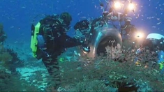 海底世界3D 花絮之Indonesia