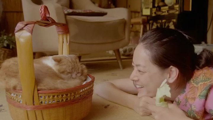 租赁猫 日本预告片2