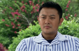 《油菜花香》全集-电视剧