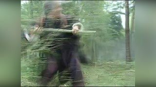方世玉變身民族英雄