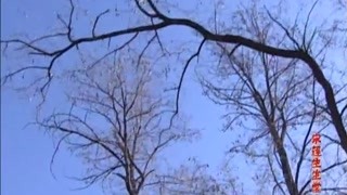 铁三角延续搞笑路线