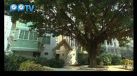 下海第26集精彩看點1