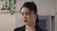 宠妻狂魔文松遭关婷娜家庭暴力！