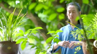 用这种布料制成的衣服 自带芳香和疗愈功效