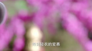 林允儿搭档林更新