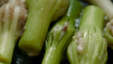 舌尖上的新年 片段