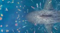 《巨齿鲨》李冰冰联手斯坦森狂揍深海巨鲨