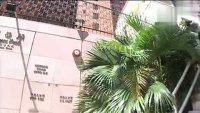 花花世界花家姐之花絮-见晒光啦
