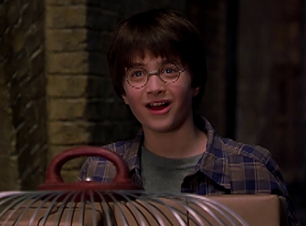 《哈利·波特与魔法石》“魔法车站”版片段 9