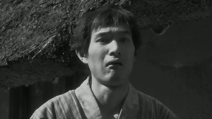 新氏农户 日本预告片
