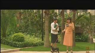 追夢谷的傳說