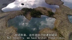 002 家园