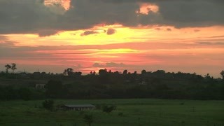 《蜜月島》宋飛等人被遣送回國 全劇終了