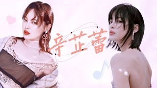 辛芷蕾这部剧太适合了