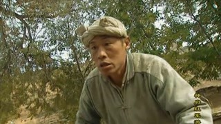 以真实史实为原型