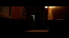 下女 先行版预告片