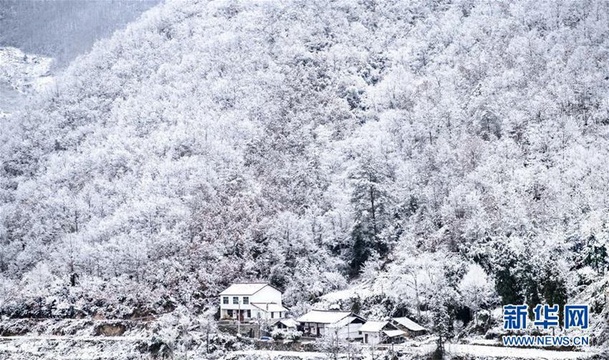 高清:玉树琼枝秦岭紫柏山 第1页