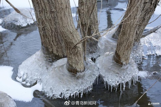 青岛崂山水库开启冰封模式 冰湖美景惹人醉(4) 第4页