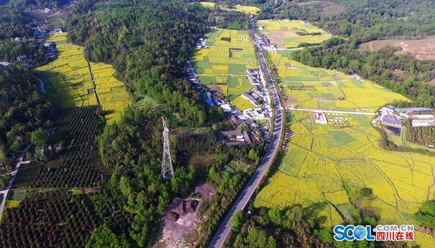 1分钟看遍“中国最美乡村公路”的最美季节 第1页