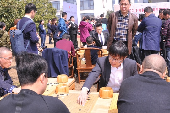 高清-开幕式后公益指导棋 棋迷积极参与(12) 第12页