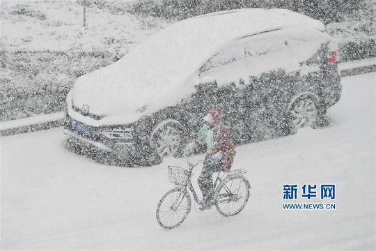 山东烟台普降大雪(2) 第2页