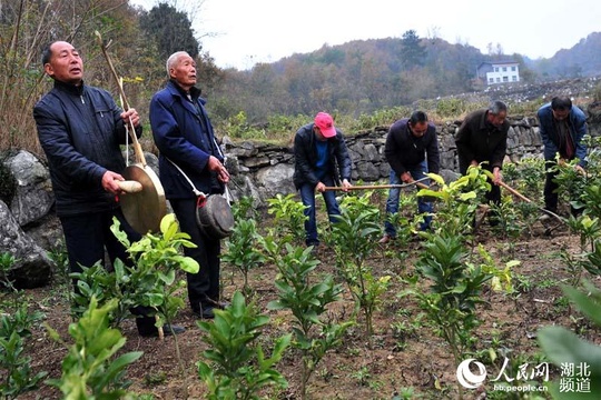 宜昌民间艺人自编“薅草锣鼓”唱红歌 第1页