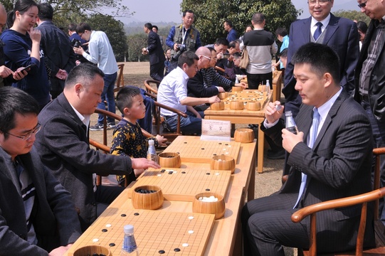 高清-开幕式后公益指导棋 棋迷积极参与(20) 第20页