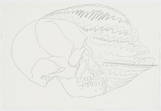 安迪·沃霍尔-Untitled (Skull) 第1页