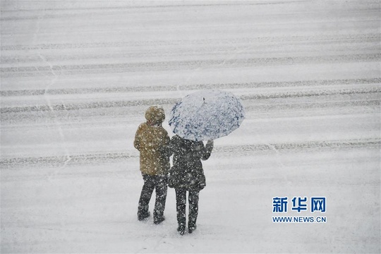 山东烟台普降大雪(5) 第5页