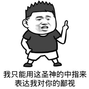 我用胡子鄙视你