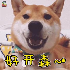 柴犬gif