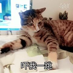 教你如何制作表情包--表情in