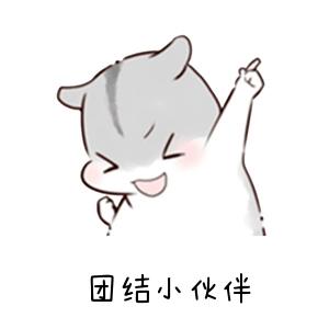 AEIS考试高分是多少,新加坡AEIS考试培训中心,深圳AEIS培训