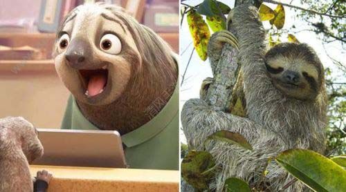 疯狂猜图 白狗 动o+_疯狂猜图一只狗答案汇总 讲解动漫狗 白狗 游戏狗答案(2)