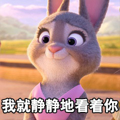 疯狂猜图 白狗 动o+_疯狂猜图一只狗答案汇总 讲解动漫狗 白狗 游戏狗答案(2)